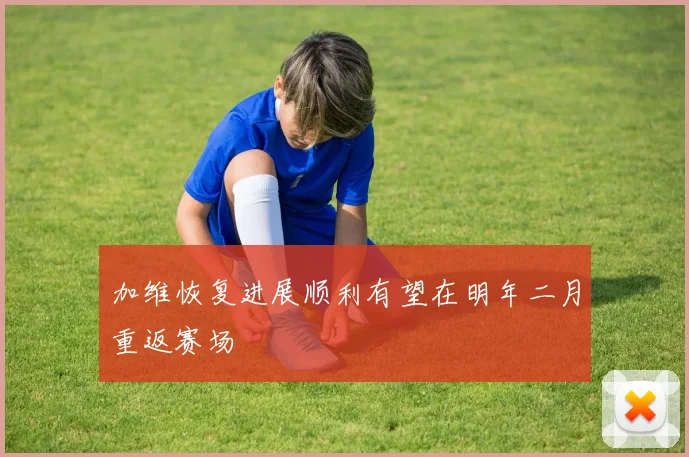 加维恢复进展顺利有望在明年二月重返赛场