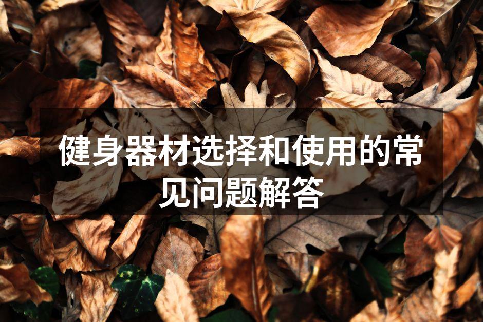 健身器材的多样选择
